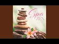 Holistic Wellness in to Your Life