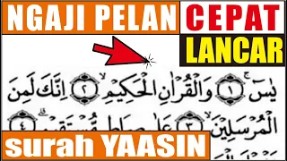 cara mudah membaca surat yasin irama pelan khusus pemula dan lansia 1 sd 30