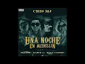Una Noche En Medellín (Remix) Cris Mj, Blessd, Karol G, Ryan Castro