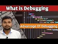 What is debugging Debugging kya hai What is debugging in software testing Debugging types