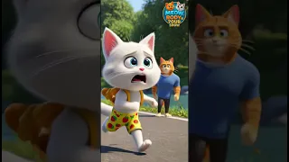 رودي وقعت Meow Rody 7our Show Meow 