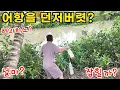 Download Lagu 베트남시골 요즘 유행하는 집어던지는 어항! 신박하네~(kiengiangtv)