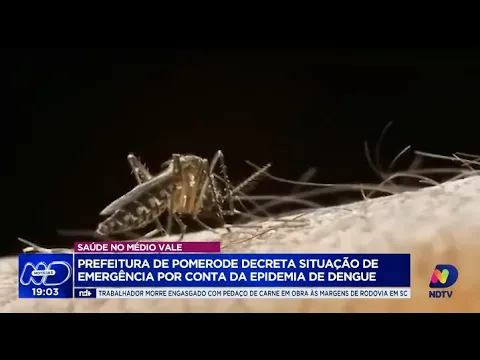 Pomerode em alerta: emergência decretada devido à epidemia de dengue