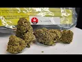 Strain Review Cherry Pie By High Street