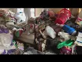 Animal Charity facing deplorable conditions while rescuing cats from Youngstown house on Early Road