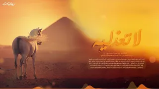 عينية ابن زريق لا تعذليه معاذ المشرفي 