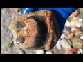 Download Lagu Sabado de aventura en el rio, buscando piedras raras y semi-preciosas, Norte de California. 