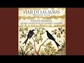 Download Lagu Viaje de las Almas. Travelling Souls