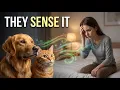 Pets Sense Illness Hours Before Symptoms Show