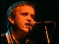 Squeeze : Cool for Cats & Tempted (1982) LIVE