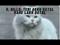 guru Randhawa, Sanjoy, Gill Machhrai - Qatal (Lyrics)-without video