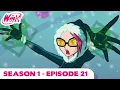 Download Lagu Winx Club - FULL EPISODE | The Crown of Dreams | Season 1 Episode 21
