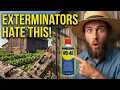 9 Amish WD-40 Hacks That Banish Pests For Good Exterminators call it genius