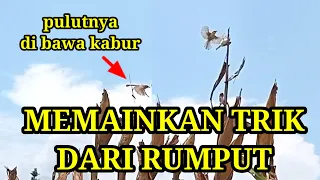 Download Trik ampuh mikat burung yang takut sama polot MP3