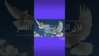 نشيد اذا كنت في نعمة فرعاها فإن الذنوب تزيل النعم دندنها