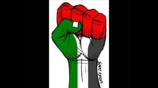 جوليا بطرس قاوم فيداك الاعصار 