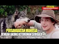 Kisah Mengharukan Dari Persahabatan Manusia Dengan Anjing Keturunan Serigala | Alur Film WHITE FANG