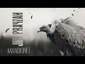Download Lagu Jah Prayzah - Mandionei (Official Performance Video)