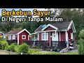 Download Lagu Vegetable Gardening in the Land Without Night #vlog #nature