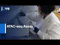 ATAC-seq Assay with Low Mitochondrial DNA Contamination Protocol