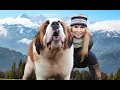 THE SAINT BERNARD DOG - GIANT ALPINE RESCUER