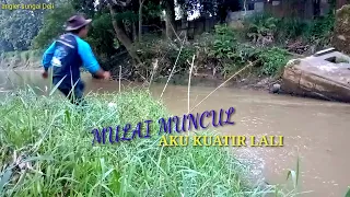 mulai muncul aku kuatir lali 