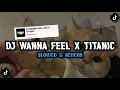 Download Lagu Dj Wanna Feel Like X Titanic By Sopan Yete (Slowed \u0026 Reverb)