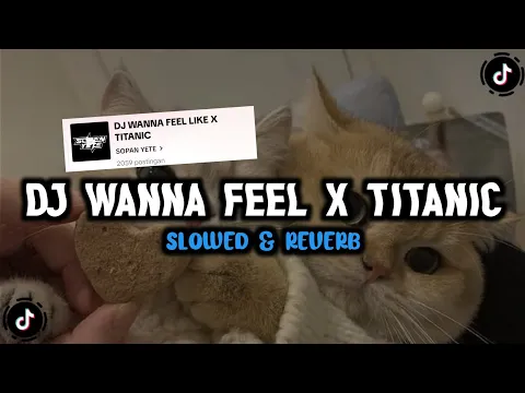 Download MP3 Dj Wanna Feel Like X Titanic By Sopan Yete (Slowed & Reverb)