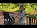 Download Lagu Boulevard of Broken Dreams #violincover #instrument