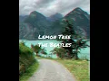 Download Lagu Lemon Tree The Beatles