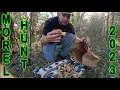 Morel Mushroom Hunting in Oklahoma A Great Start to the Season