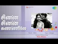 Lagu சின்ன சின்ன கண்ணிலே | Then Nilavu | A. M. Rajah | P. Susheela Songs | Gemini Ganesan
