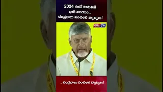 2024ను మించి కూటమి విజయం.. చంద్రబాబు కీలక వ్యాఖ్యలు!#dnatv #viral