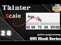 What is Scale in tkinter 28 python programming GUI Hindi Series