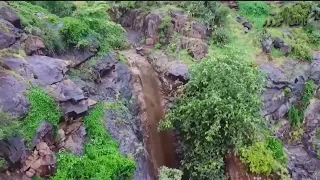 ارخصتني دندنها