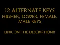 Keep Driving Karaoke - Harry Styles Instrumental Lower Higher Female Original Key