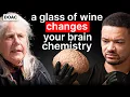 Lagu No.1 Brain Scientist: Your Brain Is Lying To You! Here's How I Discovered The Truth!