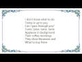 Download Lagu Blur - Tame Lyrics