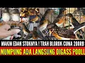 Download Lagu 🔴 UPDATE !! SPESIAL MURAI  GACORAN,TROTOLAN JANTAN SUPER HARGA TERJANGKAU PASTINYAH  0838-7553-6945