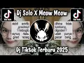 Download Lagu DJ SOLO X MEOW MEOW - TREND TIKTOK TERBARU 2025
