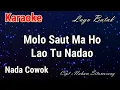 Download Lagu Karaoke : Molo Saut Maho (Nada Cowok)