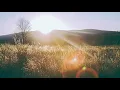 Edvard Grieg -  Morning Mood (1 hour loop)