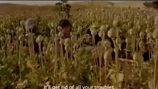 چرسی بچگک افغان با آمریکایی 