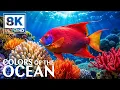 Download Lagu Underwater World 8K (ULTRA HD VIDEO) 🐠 Serene Sea Animals \u0026 Coral Scenery - Calming Sleep Video