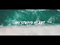 DJ SLOW REMIX !!! Rawi Beat - My Stupid Heart ( Slow Remix )