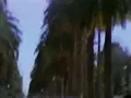 MC Luscious - Boom! I Got Your Boyfriend (1990)