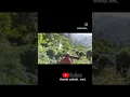 Download Lagu https://youtu.be/fm1h8u5SqLA?si=kFQ9_zkQolt9ADdl subscribe ❤️