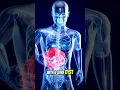 Your mind controls your body Lock in and the results will follow