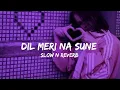 Lagu Dil meri na sune | slowed reverb | song
