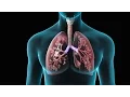 Spirometry Test for Lung Function Nucleus Health